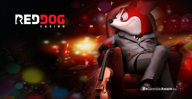 Top 10 Online Casinos Australia: RedDog